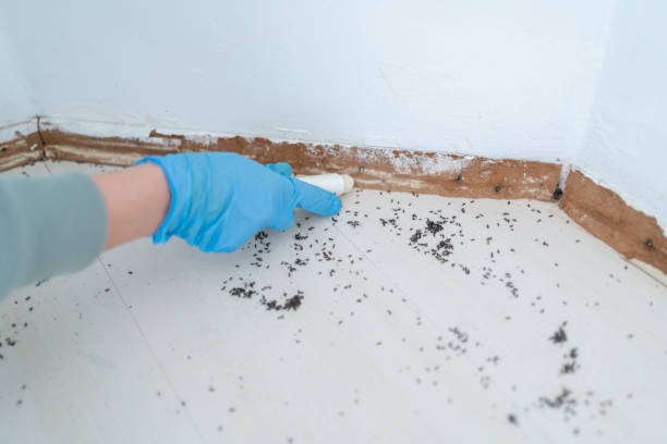 Best Commercial Pest Control Services  in Six Shooter Canyon, AZ